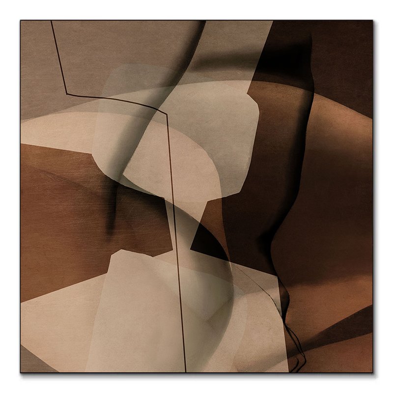 Tableau abstrait Graceful de Roberto Moro aux formes fluides