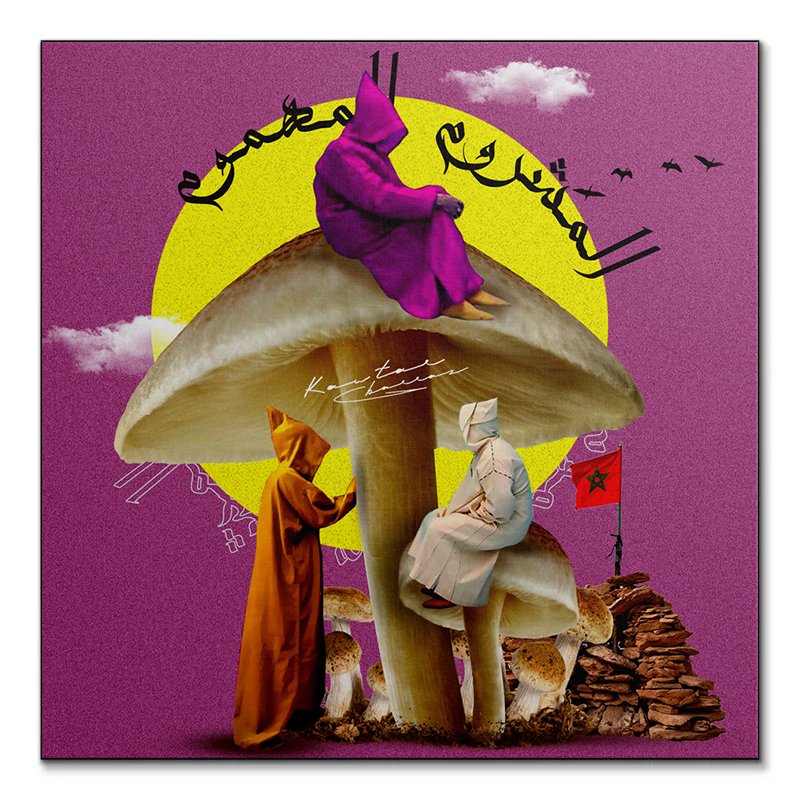 Mushroom tableau pop-art surréaliste par Kawtar Barraz