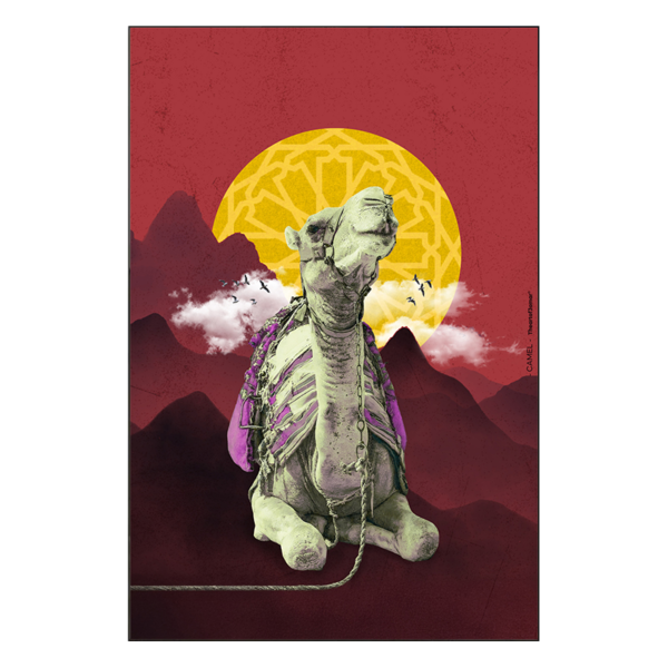 Camel